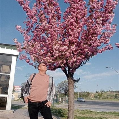 KıSGüNeSi